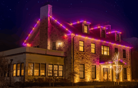 1200×628 – jellyfish lights-1