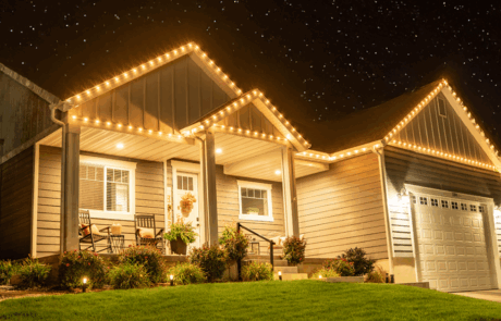 1200×628 – jellyfish lights-3