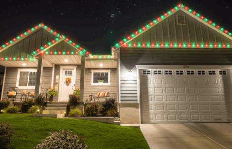 1200×628 – jellyfish lights-4