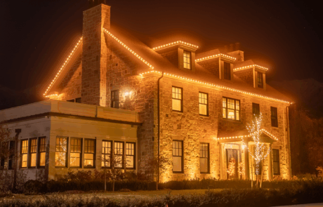 jellyfish-light-LP-gallery-1