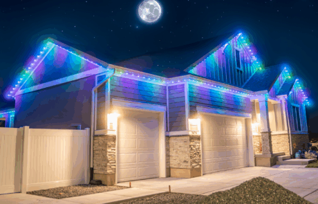 jellyfish-light-LP-gallery-2