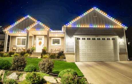 jellyfish-light-LP-gallery-3